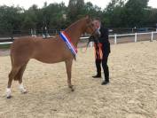 Ponette de Club / de Sport - Peepa - 10 ans