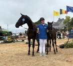 Magnifique poulain par Zonik Plus x Glamourdale