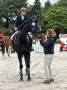 Cheval &agrave; vendre 