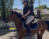 Ponette &agrave; vendre de 4 ans 