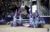 JUMENT DE 6 ANS PAR QUILVARO DE LYR