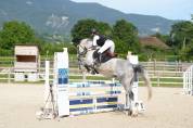 JUMENT DE 6 ANS PAR QUILVARO DE LYR