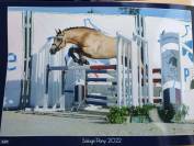 Poney 6 ans PFS