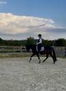 Jument espagnole 5 ans 