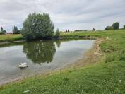 Bella dimora equestre In vendita Hainaut