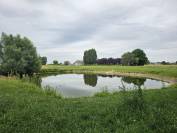 Bella dimora equestre In vendita Hainaut