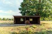 Luxurious equestrian property  Sarthe