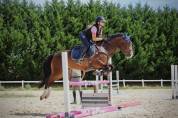 Ponette PFS sport CSO