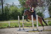 Ponette PFS sport CSO
