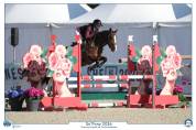 Ponette PFS sport CSO