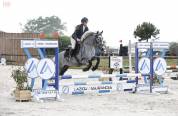 Ponette 5 ans Connemara 143cm 