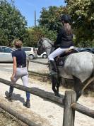 Ponette 5 ans Connemara 143cm 