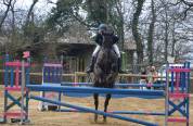 Cheval &agrave; vendre sorti en Complet, CSO 