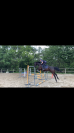 Cheval &agrave; vendre sorti en Complet, CSO 