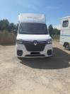 Renault Master transport chevaux