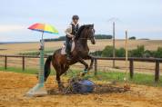 Cheval de Sport Irlandais - Belle opportunit&eacute; 