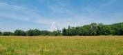 Propri&eacute;t&eacute; d'&eacute;levage avec ancien moulin et 13ha attenants