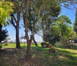 Propiedad ecuestre En venta Aude