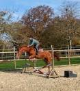 Cheval de loisir SF