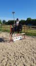 Poney B
