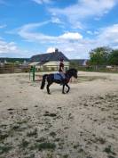 Poney B