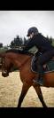 Demi pension 