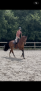 Cheval d&rsquo;avenir 