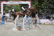 Hongre 6ans kannan x le tot de semilly