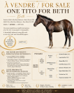 ONE TITO FOR BETH - AQHA Filly Blue Roan Rabicano