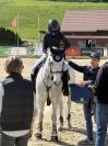 Merrie Connemara Te koop 2016 Schimmel ,  POETIC JUSTICE (IE)