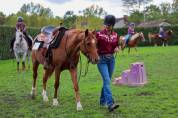 Cheval &agrave; vendre 