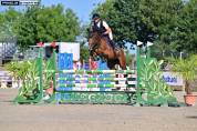 Jument 5 ans id&eacute;ale amateur 1 / &eacute;lite