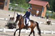 Ruin Franse rijpony PFS Te koop 2013 Bruin / Bai