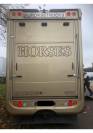 VAN MERCEDES ACTROS TRASPORTO 6 CAVALLI anno 2015