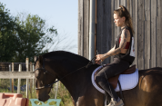 Jument pur sang lusitanien 5ans 