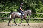 GOLD - 5ans - 1m64