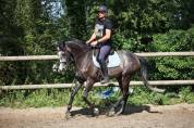 GOLD - 5ans - 1m64