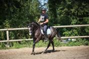 GOLD - 5ans - 1m64