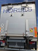 CAMION CHEVAUX 7 PLACES AVEC HOME CAR