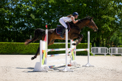 Jolie jument trotteuse !