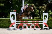 Jolie jument trotteuse !
