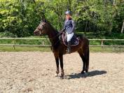 Jolie jument trotteuse !