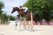 Jolie jument trotteuse !