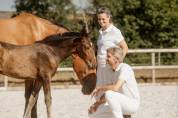 Poulain Pur-Sang Lusitanien selectionn&eacute; France Dressage