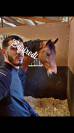 Sofien 37 ans Disponible pour poste de Palefrenier 