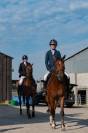 Madisone de Molion, Jument, 4 ans, Bai; SF, toise 1.65