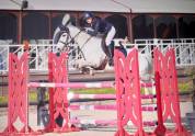 Oise: poney D AS2/AS1 &agrave; vendre 