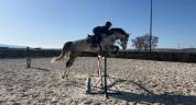 Caballo de salto de 7 a&ntilde;os con excelente proyeccion