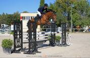 Crack hongre de 5 ans pour sauter de belles &eacute;preuves 
