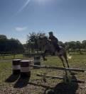 Lot 2 Hongres - Loisirs, Comp&eacute;tition, Famille, Club
